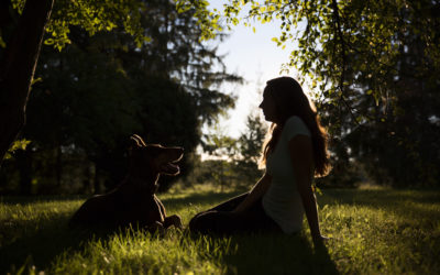 Michelle and Elias / Inglis Falls / Owen Sound & Collingwood Pet & Equine Photographer