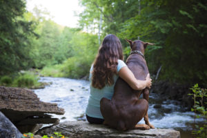 Pet Photography by Candra Schank Photography.