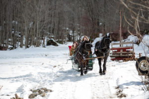 Winter Wedding by Candra Schank Photography at Dual Acres Sleigh & Wagon Rides