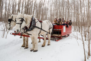 Winter Wedding by Candra Schank Photography at Dual Acres Sleigh & Wagon Rides