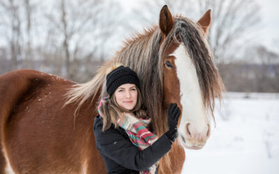 Big Beautiful Clydesdales / Owen Sound & Collingwood Pet & Equine Photographer